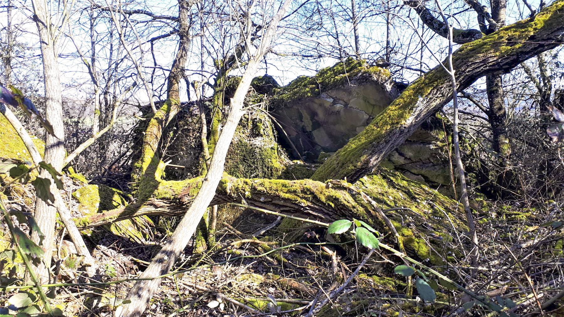 Ligne Maginot - SCHMELZBACH 9 - (Blockhaus de type indéterminé) - 