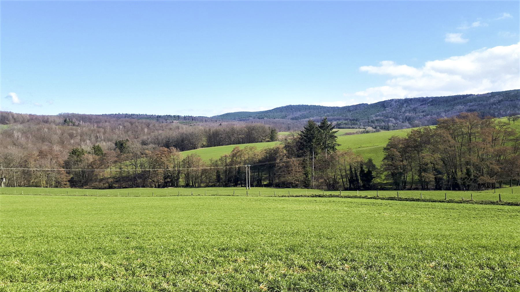 Ligne Maginot - SCHMELZBACH 9 - (Blockhaus de type indéterminé) - Direction de tir du bloc