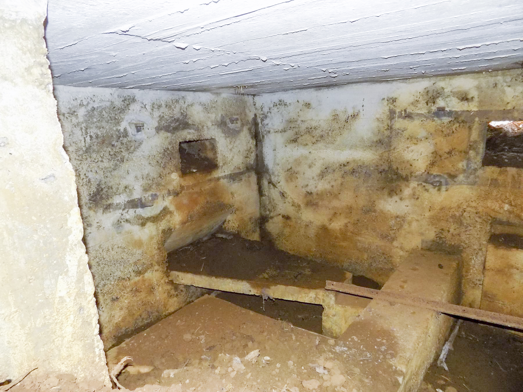 Ligne Maginot - N - LE RETAY - (Blockhaus pour canon) - Configuration des créneaux, gauche à droite, pris de l'entrée canon AC de face l'arrière - R Tucker