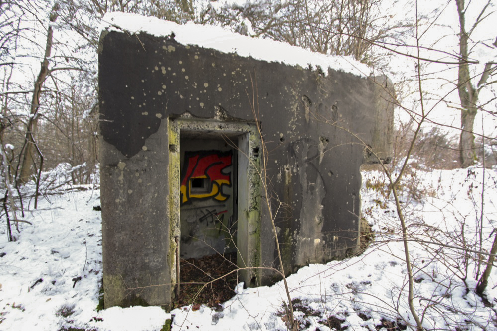 Ligne Maginot - HERRENKOPF NORD - (Blockhaus pour arme infanterie) - 