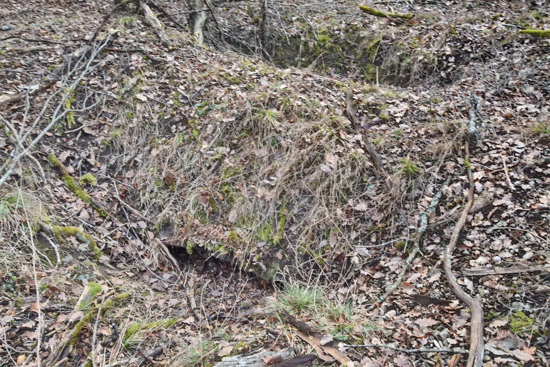 Ligne Maginot - GUSTAVE 2 - (Position d'artillerie préparée) - Abri de petite dimension - Daniel Froehly