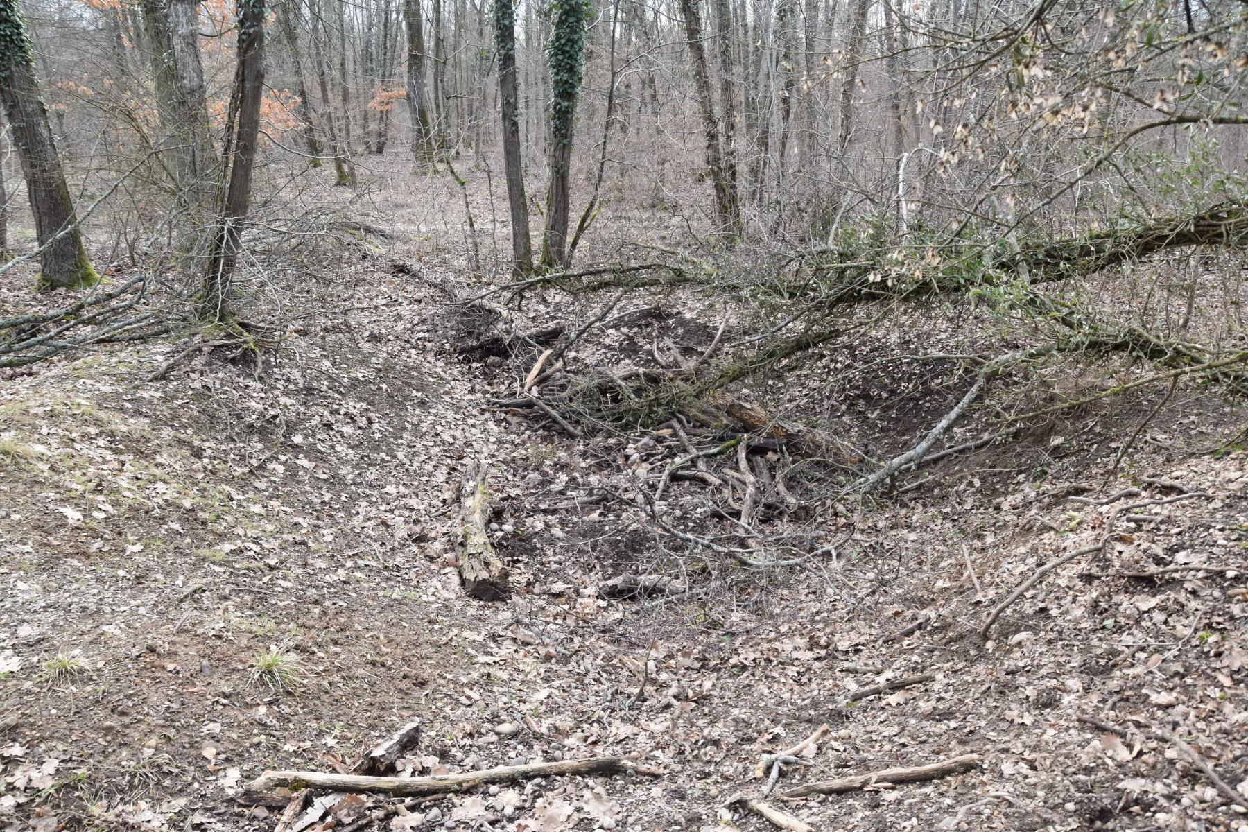 Ligne Maginot - GUSTAVE 2 - (Position d'artillerie préparée) - Alvéole de tir - Daniel Froehly