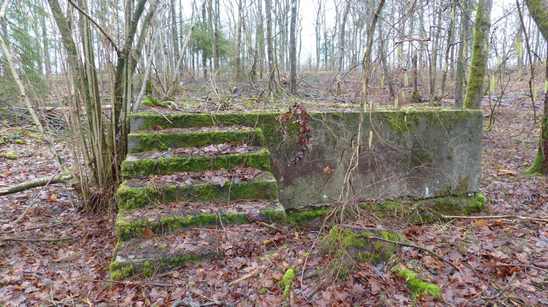 Ligne Maginot - BOIS DE GRAND-FAILLY (41° DI PUIS 3° DINA PUIS 132° RIF) - (PC de Sous-Secteur) - Restes de soubassements de baraques