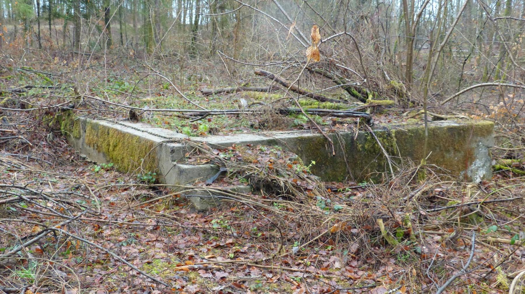 Ligne Maginot - BOIS DE GRAND-FAILLY (41° DI PUIS 3° DINA PUIS 132° RIF) - (PC de Sous-Secteur) - Restes de soubassements de baraques
