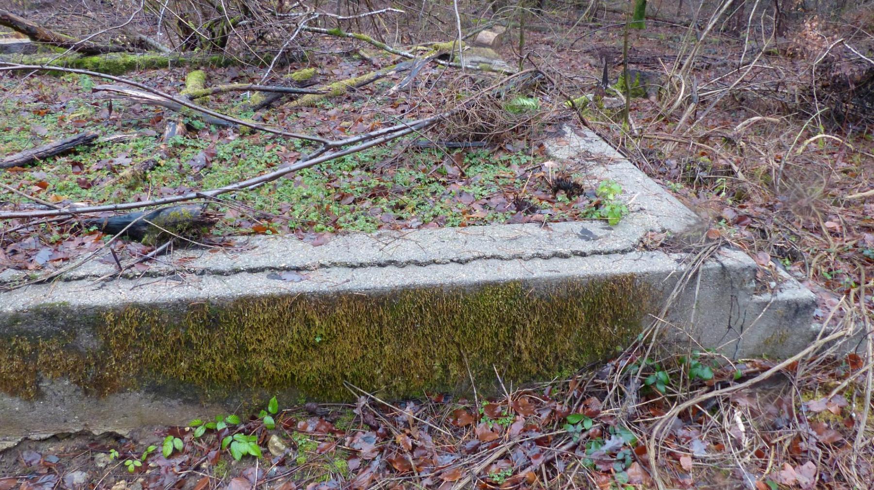 Ligne Maginot - BOIS DE GRAND-FAILLY (41° DI PUIS 3° DINA PUIS 132° RIF) - (PC de Sous-Secteur) - Restes de soubassements de baraques