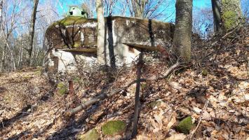 Ligne Maginot - GUNSTHAL COL OUEST - (Blockhaus pour arme infanterie) - Les restes du réseau anti-personnel