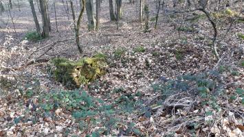 Ligne Maginot - NAGELSTHAL - (Blockhaus pour arme infanterie) - Retranchement à proximité du blockhaus