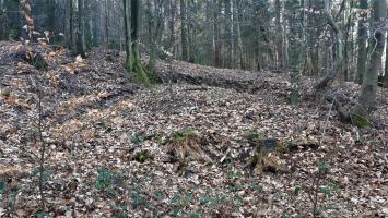 Ligne Maginot - NAGELSTHAL - (Blockhaus pour arme infanterie) - Tranchée menant à un retranchement à proximité du blockhaus