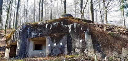 Ligne Maginot - GUNSTHAL FERME OUEST - (Blockhaus pour arme infanterie) - Vue sur la chambre de tir