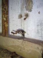 Ligne Maginot - GUNSTHAL FERME OUEST - (Blockhaus pour arme infanterie) - Arrivée du câble téléphonique