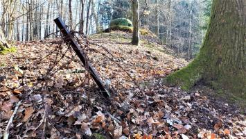Ligne Maginot - GUNSTHAL FERME EST - (Blockhaus pour arme infanterie) - Réseau barbelés devant la cloche GFM
