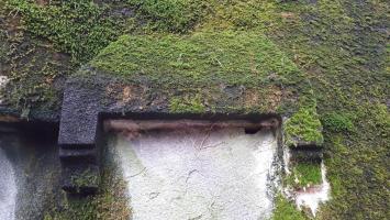 Ligne Maginot - WALKMUHL - (Abri) - Entrée Est
Prise d'air condamnée