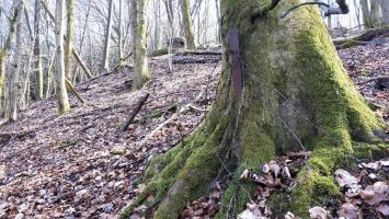 Ligne Maginot - MARKBACH - (Blockhaus pour arme infanterie) - Réseau de barbelés