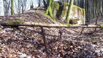 Ligne Maginot - MARKBACH - (Blockhaus pour arme infanterie) - Restes du réseau barbelés devant la chambre de tir Ouest