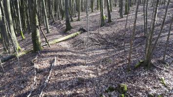 Ligne Maginot - MARKBACH - (Blockhaus pour arme infanterie) - Une tranchée menant à l'entrée du blockhaus
