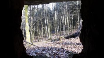 Ligne Maginot - MARKBACH - (Blockhaus pour arme infanterie) - Vue depuis le créneau FM Est