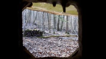 Ligne Maginot - MARKBACH - (Blockhaus pour arme infanterie) - Vue depuis le créneau FM Ouest