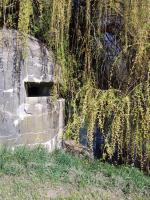 Ligne Maginot - ILLHAEUSERN 3 - (Blockhaus pour arme infanterie) - Coupole sud