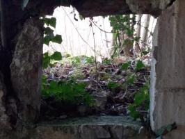 Ligne Maginot - SAASENHEIM NORD 2 - (Blockhaus pour arme infanterie) - 