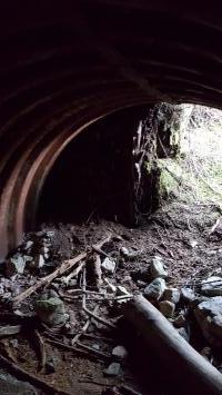 Ligne Maginot - BOIS NOIR 1 - (Abri) -  