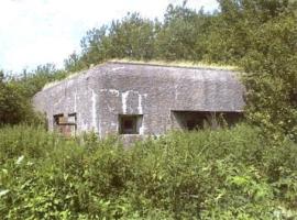 Ligne Maginot - B299 - La VALLEE (Blockhaus pour canon) - 