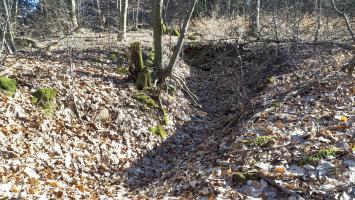 Ligne Maginot - GUNSTHAL COL - Tranchée entre les deux blockhaus
