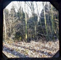 Ligne Maginot - GUNSTHAL COL EST - (Blockhaus pour arme infanterie) - Vue depuis le créneau FM de la chambre de tir
