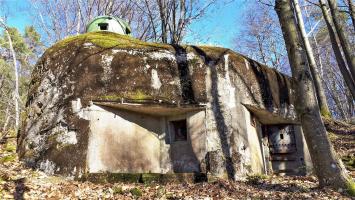 Ligne Maginot - GUNSTHAL COL OUEST - (Blockhaus pour arme infanterie) - Vue sur le créneau FM principal et l'entrée