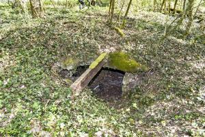 Ligne Maginot - BLODELSHEIM OUEST 4 - (Abri) - Entrée ouest