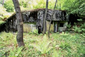 Ligne Maginot - GUNSTHAL FERME EST - (Blockhaus pour arme infanterie) - Façade du blockhaus