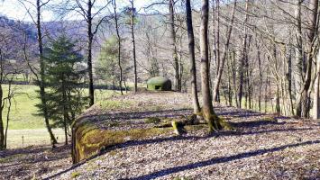 Ligne Maginot - GUNSTHAL FERME EST - (Blockhaus pour arme infanterie) - La cloche GFM surplombant le vallon de Guensthal