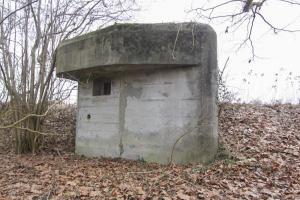 Ligne Maginot - ROHRKOPF SUD - (Blockhaus pour arme infanterie) - 