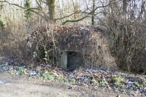 Ligne Maginot - ROHRKOPF SUD - (Blockhaus pour arme infanterie) - 