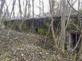 Ligne Maginot - BOIS D'ARTZENHEIM 3 - (PC) - 