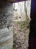 Ligne Maginot - BOIS D'ARTZENHEIM 3 - (PC) - 