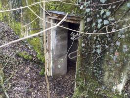 Ligne Maginot - BOIS D'ARTZENHEIM 3 - (PC) - 