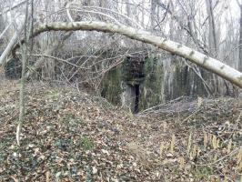 Ligne Maginot - BOIS D'ARTZENHEIM 1 - (PC) - 