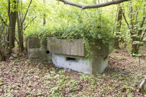 Ligne Maginot - 12 - WANTZENAU DIGUE 1 - (Blockhaus pour arme infanterie) - 