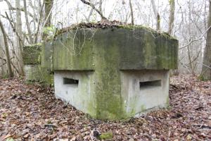 Ligne Maginot - 12 - WANTZENAU DIGUE 1 - (Blockhaus pour arme infanterie) - 