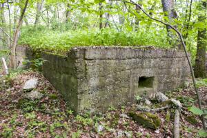 Ligne Maginot - 12 - WANTZENAU DIGUE 1 - (Blockhaus pour arme infanterie) - 