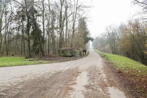 Ligne Maginot - WANTZENAU DIGUE 2 - (Blockhaus pour arme infanterie) - 