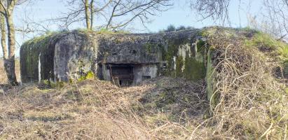 Ligne Maginot - WANTZENAU GARE - (PC) - Vue arrière