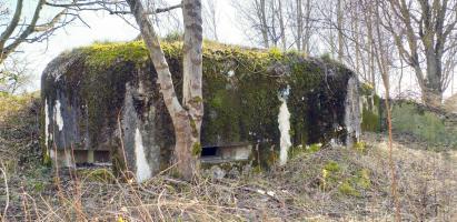 Ligne Maginot - WANTZENAU GARE - (PC) - Chambre de tir ouest pour 2 FM