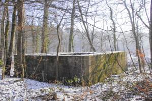 Ligne Maginot - INGWILLER - BANHOLZ - (Abri) - 