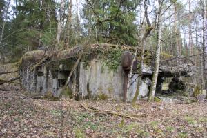Ligne Maginot - ALTZINSEL - (Casemate d'infanterie - Double) - 