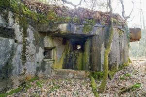 Ligne Maginot - ALTZINSEL - (Casemate d'infanterie - Double) - 