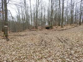 Ligne Maginot - BIESENBERG Bis - (Barrage de Route) - Le barrage se trouve sur le chemin venant de gauche