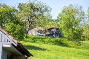 Ligne Maginot - DAMBACH - LA CHAPELLE SUD - (Blockhaus pour canon) - 