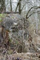 Ligne Maginot - DAMBACH SCIERIE - (Blockhaus pour arme infanterie) - 