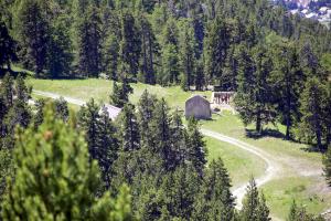 Ligne Maginot - LA SEYTE (QUARTIER GONDRAN-LES AITTES) - (PC de Quartier) - 